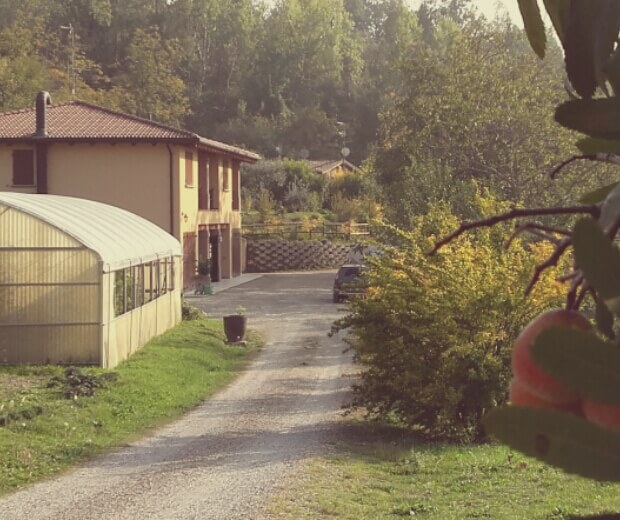 Azienda agricola Bignami Mauro — foto 3